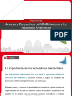 Peru - presentacion_indicadores.pdf
