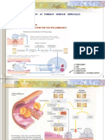 Adhesion: Thrombocyte Adhesion AT Foreign Surface Especially Collagen Fibre