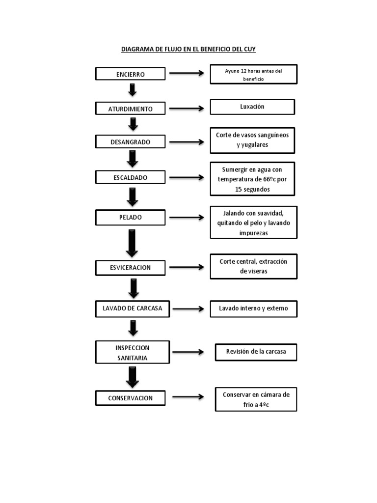 Diagrama de Flujo en El Beneficio Del Cuy | PDF