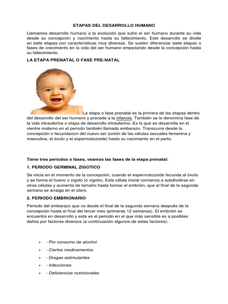 Siete Etapas del Desarrollo Humano | PDF | Adultos | Vejez