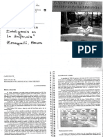 Zenequelli CAP - VII (WISC III) en Evaluacion Inteligencia en La Infancia PDF