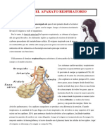 TEMA+6.-+SISTEMA+RESPIRATORIO.pdf