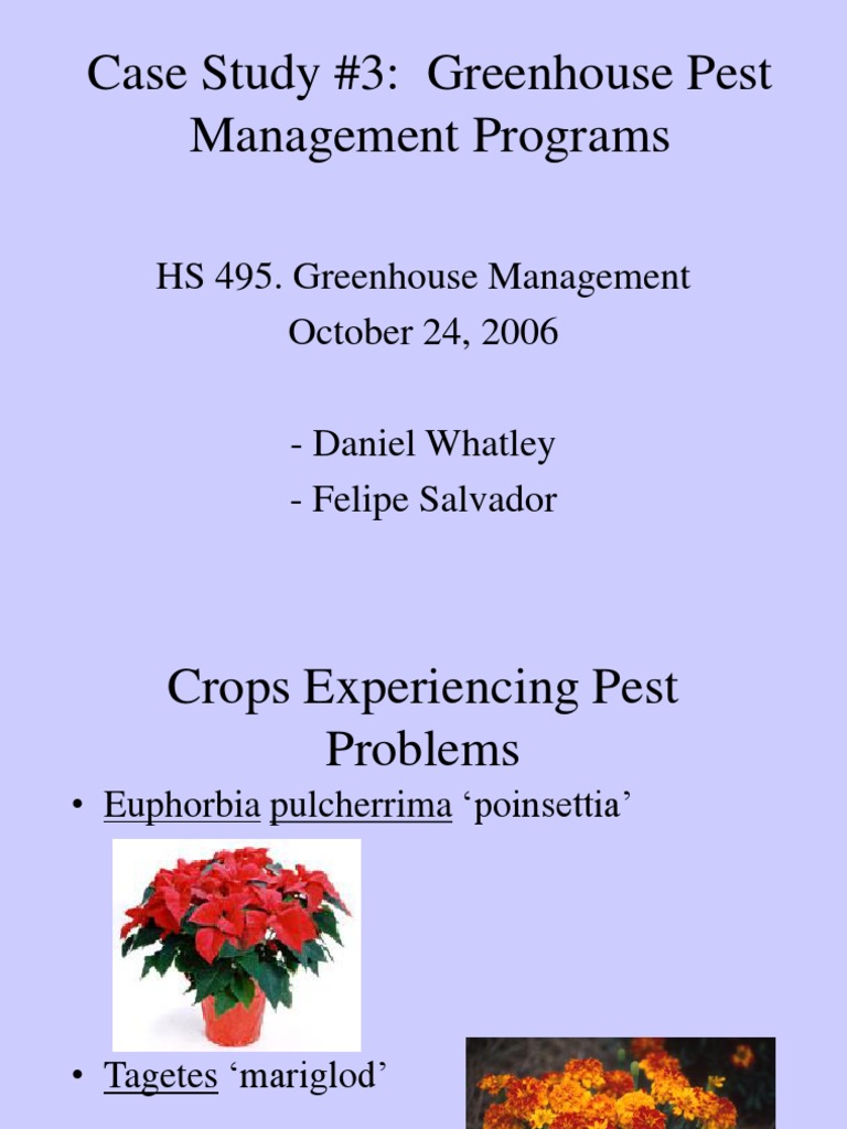 Greenhouse Pest Management Strategies | PDF | Biological Pest Control ...