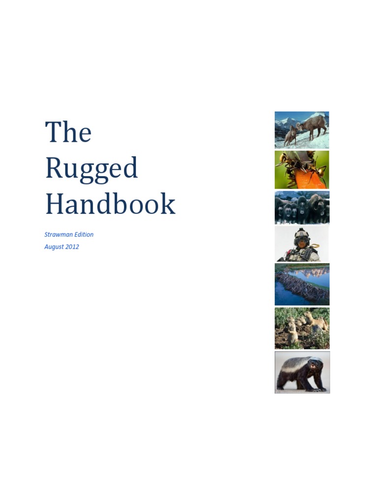 Rugged Software Development Guide | PDF | Vulnerability (Computing ...
