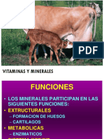 Minerales y Suplementacion 