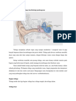 Anatomi Telinga Dan Fisiologi Pendengaran