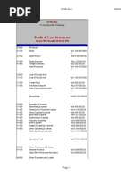 Profit & Loss Statement: PD Mitra