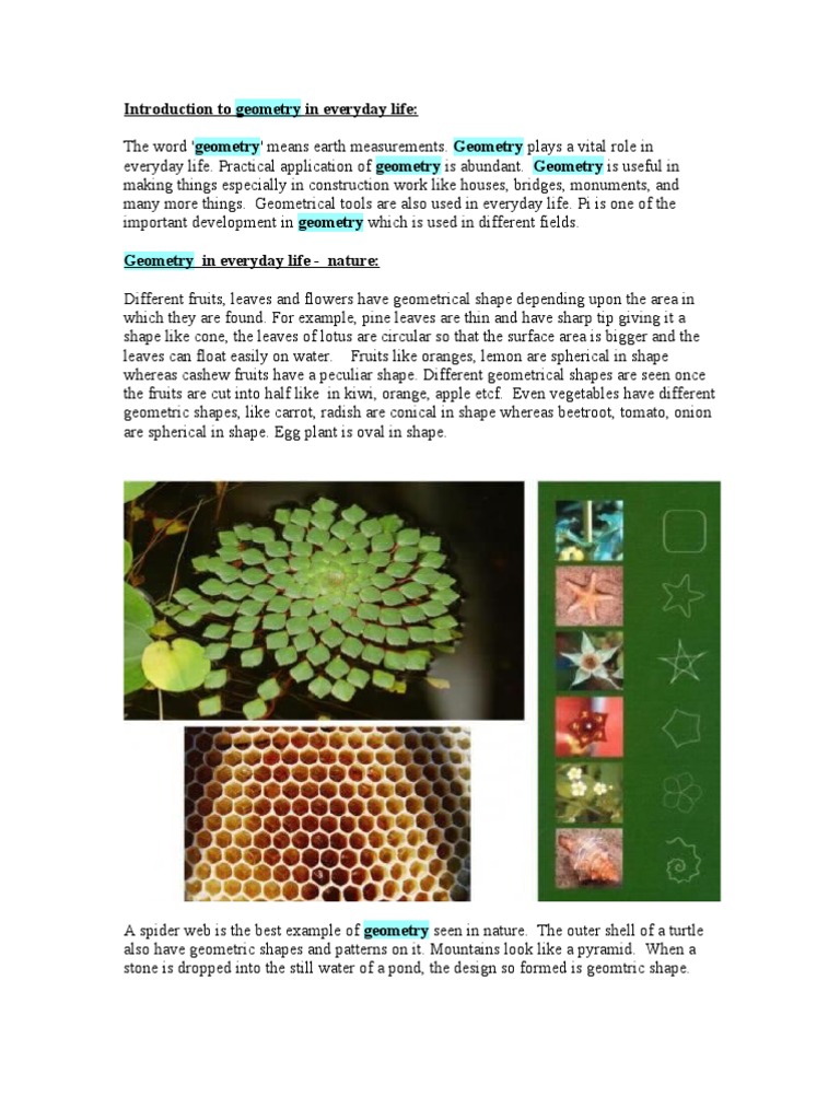 Introduction To Geometry in Everyday Life | PDF | Shape | Geometry