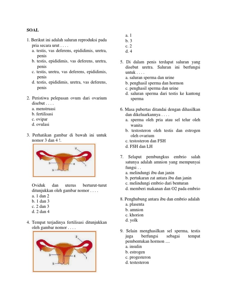 Soal Bio Smp 9