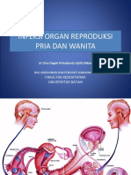 Infeksi Organ Reproduksi Pria Dan Wanita: DR Dino Gagah Prihadianto Spog, Mkes