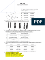 Cell Nuclear Division Paper 1 (Multiple Choices)