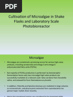 Lab Scale Algae Cultivation