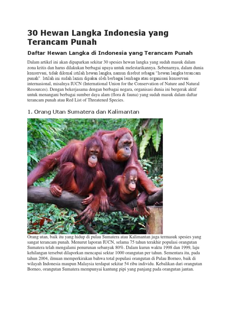 30 Hewan Langka Indonesia Yang Terancam Punah