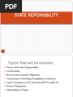 State Responsibility