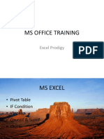 Ms Office Training: Excel Prodigy