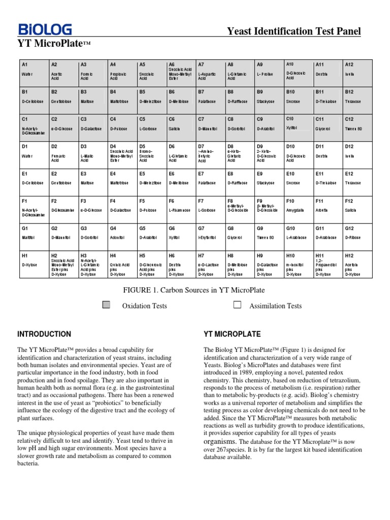 BIOLOG YT Microplate Información Tecnica PDF Levadura Las bacterias