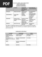 Análisis Foda y Elaboración de La Ruta Crítica