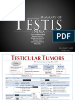 Testis Summary