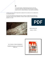 Sal en El Peru PDF