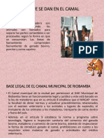 camal-130905205330-.pdf
