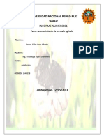 Informe 1 Reconocimiento de Un Suelo Agricola.......