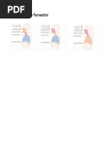 Aparelho fonador.docx