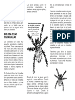 Chiggers - Information (Spanish) 01-19-2011 014034