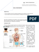 sistema_endocrino. 2.pdf