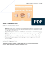 Integumentary System Anatomy and Physiology