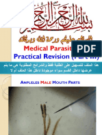 Medical Parasitology: Practical Revision (Part III)