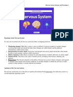 NERVOUS SYSTEM ANATOMY AND PHYSIOLOGY.docx