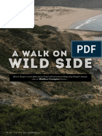'A Walk on the Wild Side'