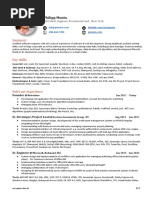 Senior .NET Developer Resume, Tech Lead Resume - New York