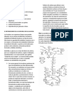 LEVADURAS - Docx Final