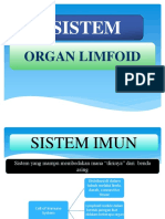 Histologi Organ Limfoid