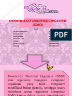 Genetically Modified Organism (GMO) KELOMPOK