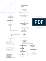 WOC-CKD