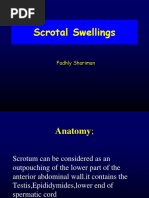 Scrotal Swelling Fadhly