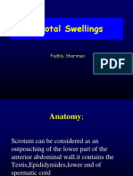 Scrotal Swelling Fadhly