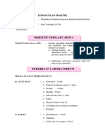 Lesson Plan Praktik