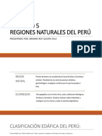 Regiones Naturales Del Perú