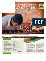 Metodologia de Catacion PDF