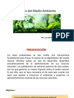 Gestión del Medio Ambiente 3.pptx