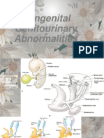 chapter 3 genitourinary abnormality.pptx