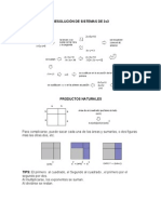 Resolucion de Sistemas 3x3, Productos Naturales