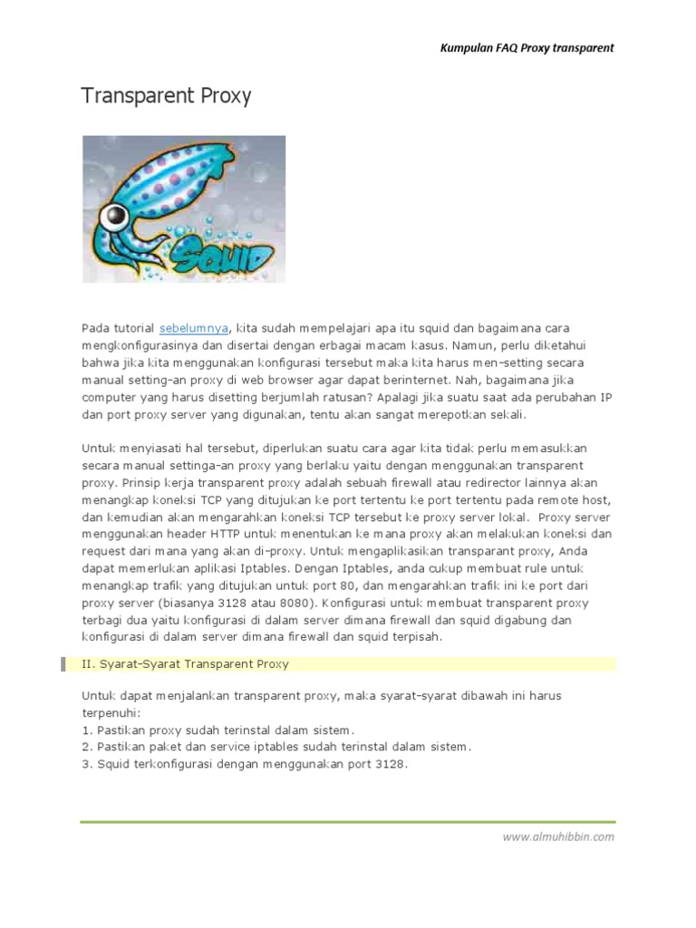 Transparent Proxy | PDF