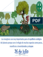 Dia Internacional para La Defensa de Ecosistemas Del Manglar - 26 de Julio