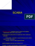 Scabie-rez.ppt