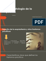 01 Psicopatología de La Psicosis T Delirante