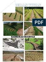 Barreras Muertas y Barreras Vivas